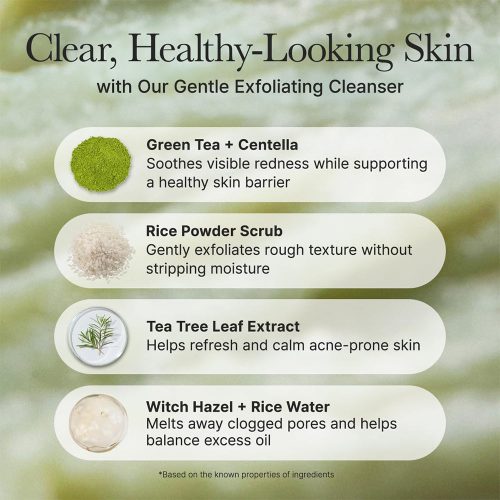پاک کننده عمقی موچی و برنج سبز آرنسیا Arencia Fresh Green Rice Mochi Cleanser