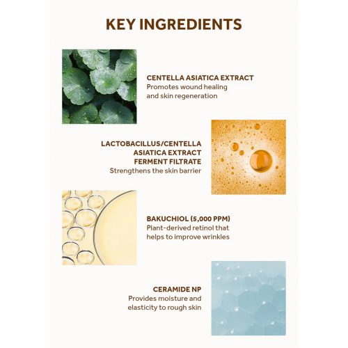 کرم دور چشم پروبیو سیکا باکوچیول اسکین 1004 ضد چروک پوست SKIN1004 Madagascar Centella Probio-Cica Bakuchiol Eye Cream
