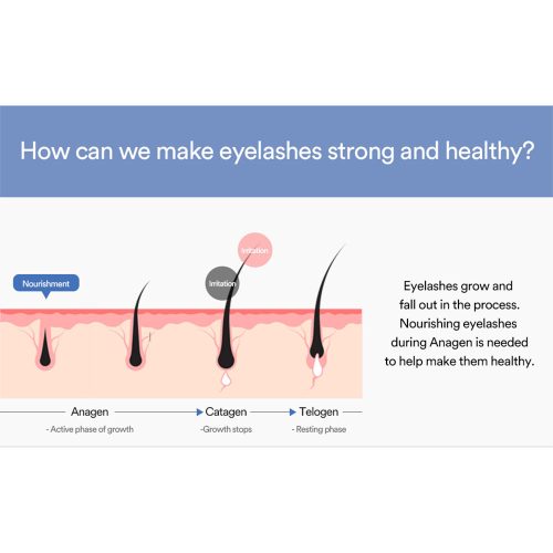 سرم تقویت مژه کلاژن فارم استی Farm stay Collagen Eyelash Serum