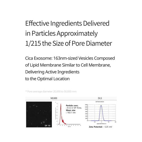 کرم ترمیم کننده اگزوزوم دکتر ملاکسین Dr.Melaxin Exosome Repair Cream
