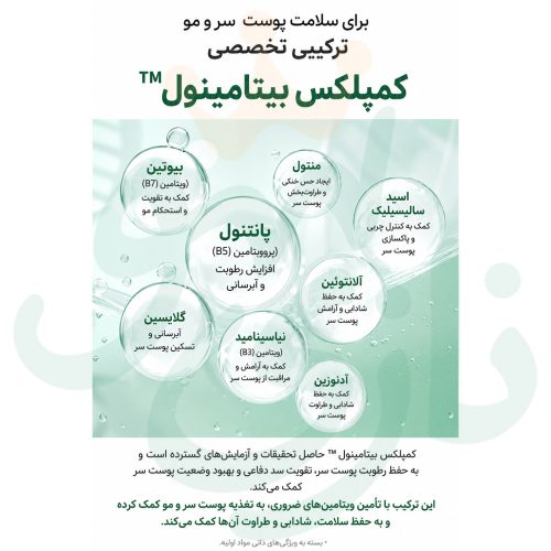 اسنس-تقویت-کننده-مو-و-کف-سر-ریپ-Raip-Revitalizing-Hair-Scalp-Essence