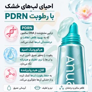 سرم-لب-PDRN-آنوا-ترمیم-کننده-و-آبرسانی-طولانی-مدت-لب-های-خشک-و-ترک-خورده-Anua-PDRN-Lip-Serum