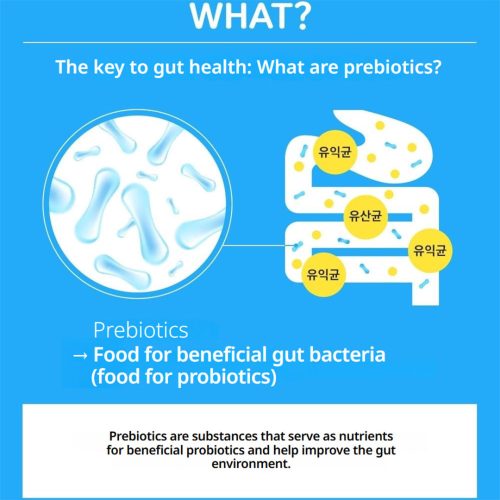 مکمل پری‌ بیوتیک FOS چونگ کان دانگ بهبود سلامت روده و گوارش Chong Kun Dang Healthcare Prebiotics Fructooligosaccharide FOS